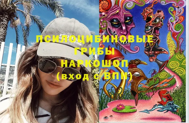 Псилоцибиновые грибы Cubensis Менделеевск